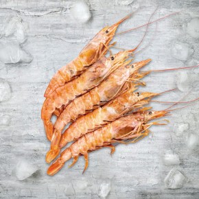 langustin